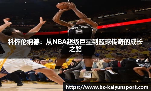 kaiyun体育官网入口
