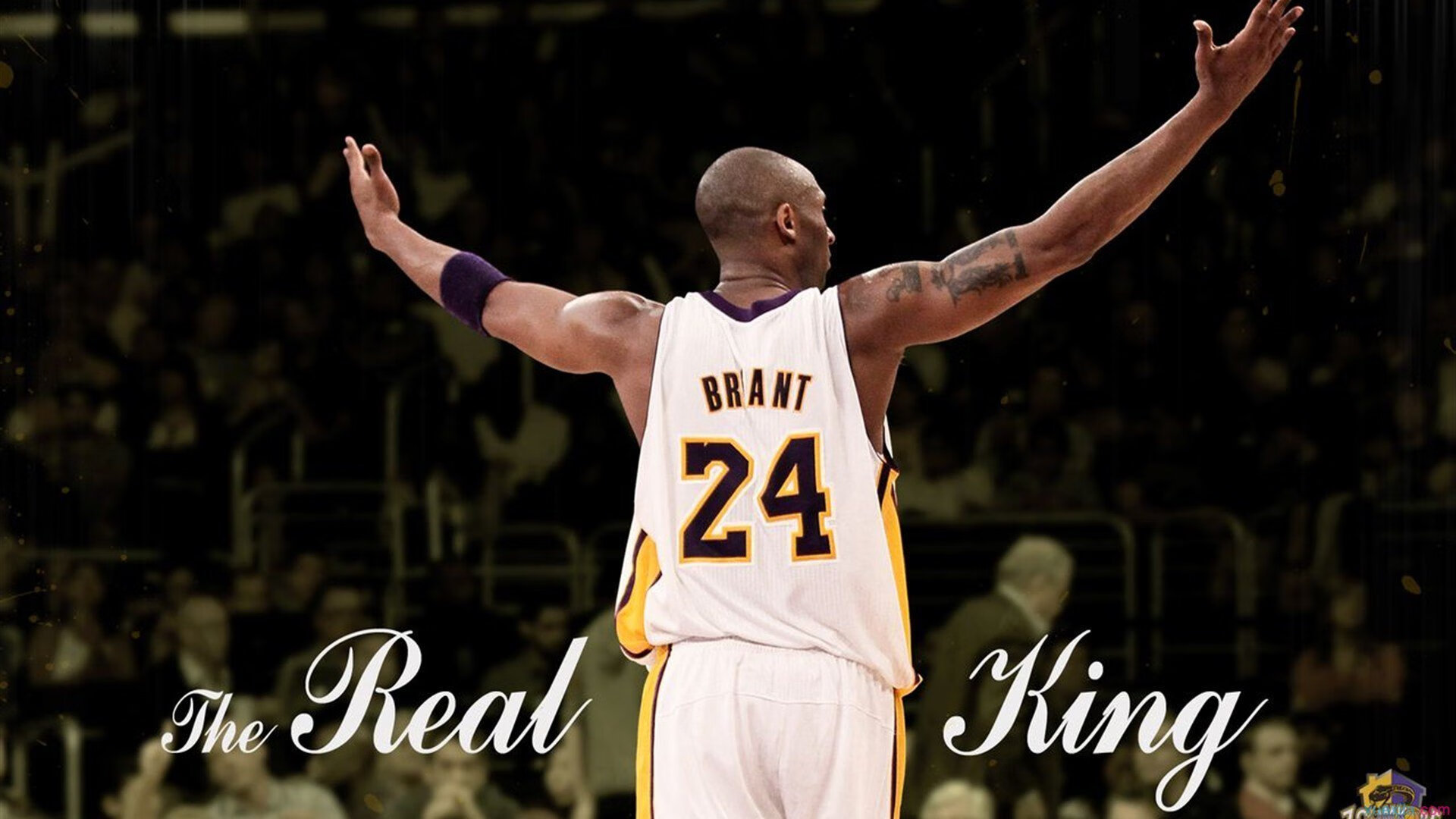 开云体育官网-篮球界双星闪耀，辽宁队爆冷力克NBA魔术，莫兰特欧冠决赛上演王者归来